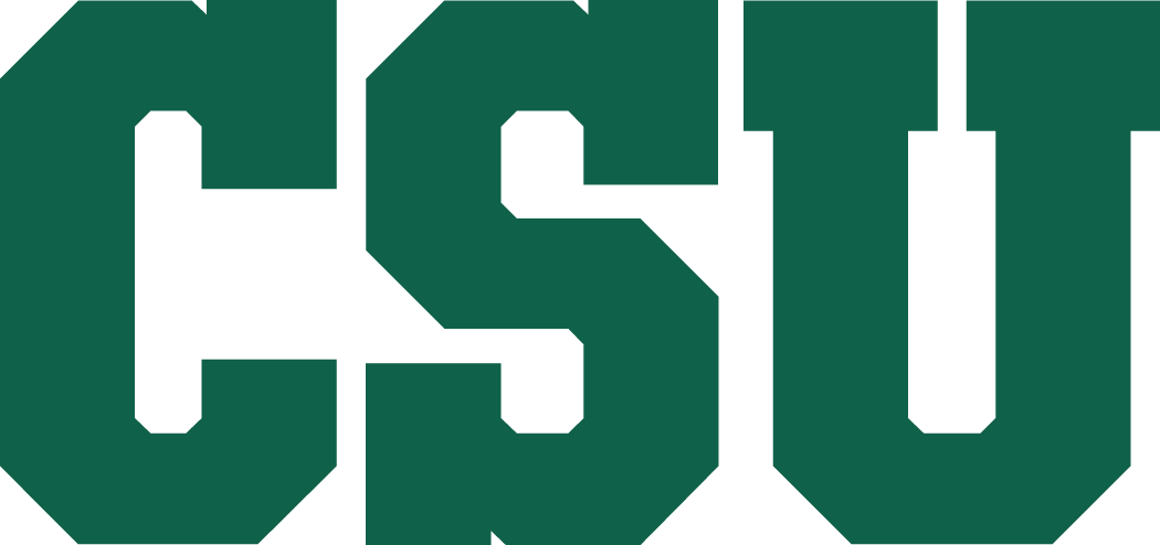 Colorado State Rams 1993-2014 Secondary Logo diy iron on heat transfer